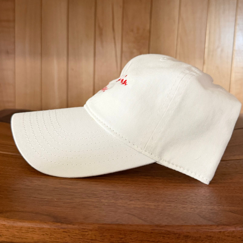 Meet Me in Texas Dad Hat